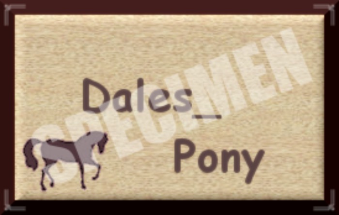 DALES PONY SIGN