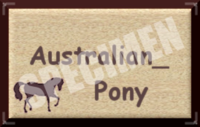 AUSTRALIAN PONY SIGN