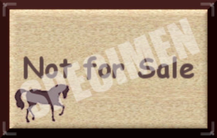 NOT FOR SALE SIGN