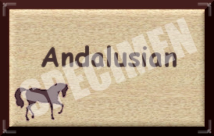 ANDALOUSIAN SIGN