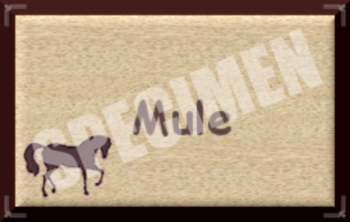 MULE SIGN