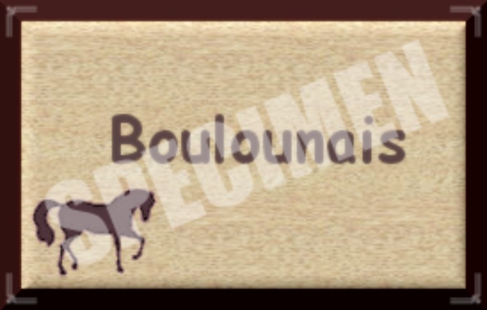 BOULOUNAIS SIGN