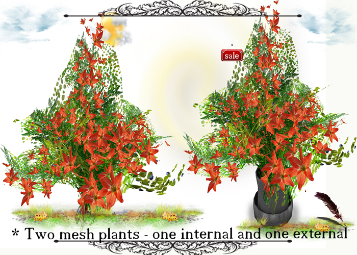 * Two mesh plants - one internal and one external v.9