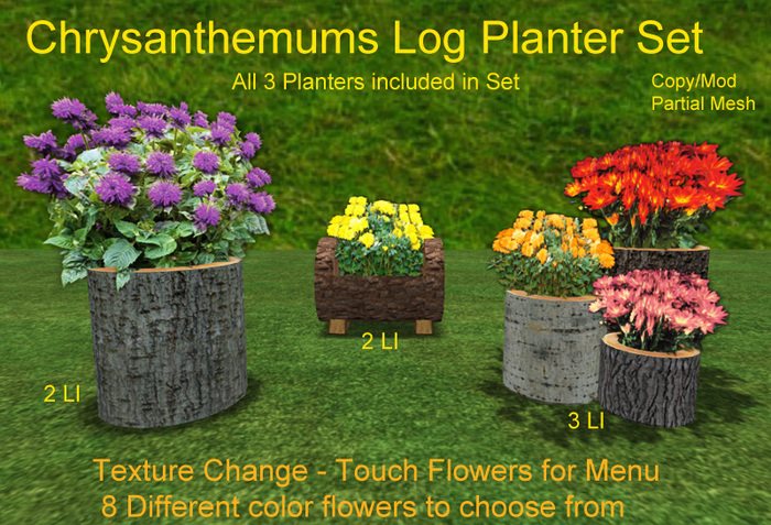 Chrysanthemums Log Planter Set 
