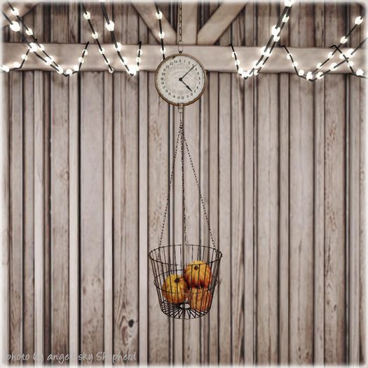 dust bunny & tenshi . pumpkin scale . boxed