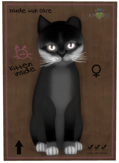 KittyCatS Box - Foxie - Soft Black