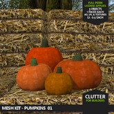 CLUTTER - Mesh Kit - Pumpkin 01