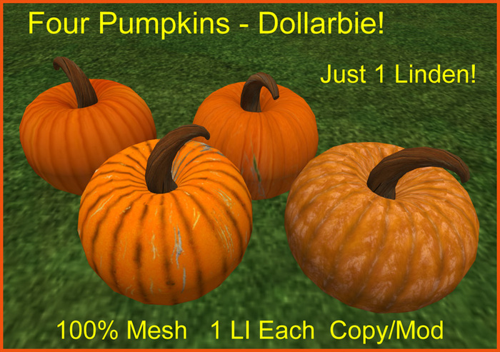 Four Pumpkins - BOXED