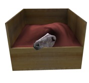BB Horse Box - Dapple - Fluffy - Male