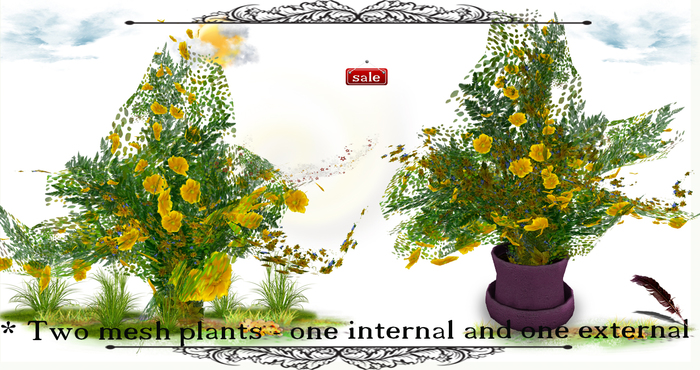 * Two mesh plants - one internal and one external v.21