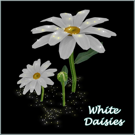 Rivendale ~*~ White Dasies