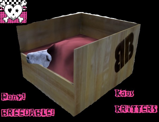 BB Horse Box