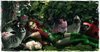 Everywhere the devil spits poison ivy grows 3