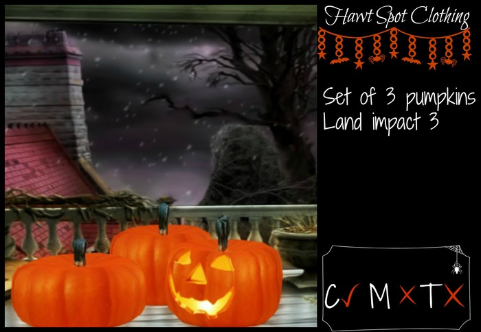 Hawt Spot Clothing~pumpkin