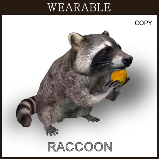 [TomatoPark] Wearable Raccoon Mesh