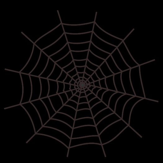 Spider_HW