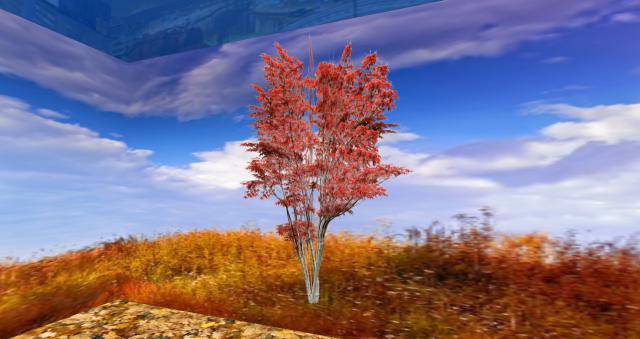 Autumn tree 3 (Mesh) v.3