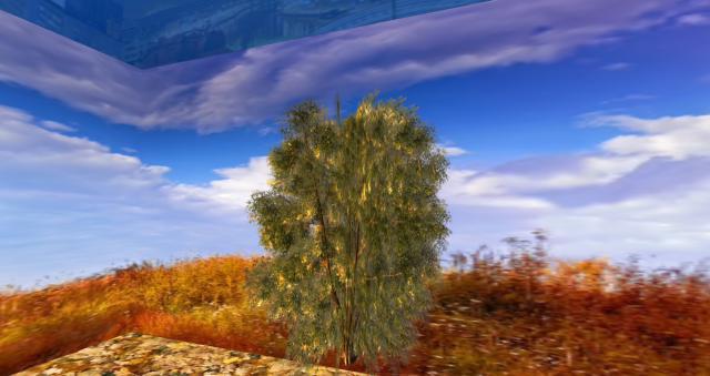 Autumn tree 4 (Mesh) v.3