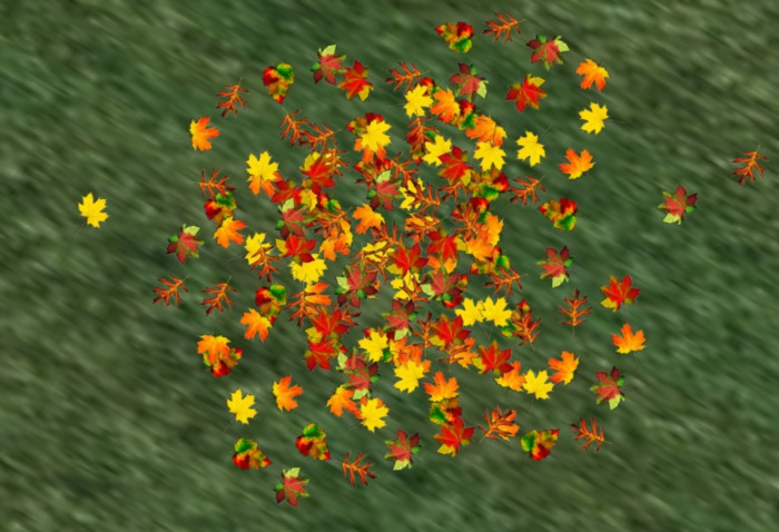 Autumn Leaves Scattered #3 - Fall Leaves
