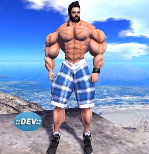[D.Cavalieri] -  Mesh Shorts Blue Plaid