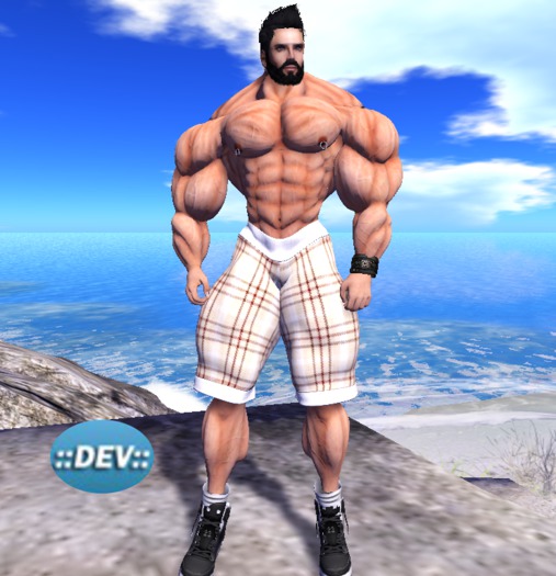 [D.Cavalieri] -  Mesh Shorts Brown