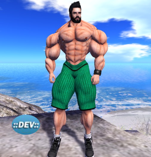 [D.Cavalieri] -  Mesh Shorts Green