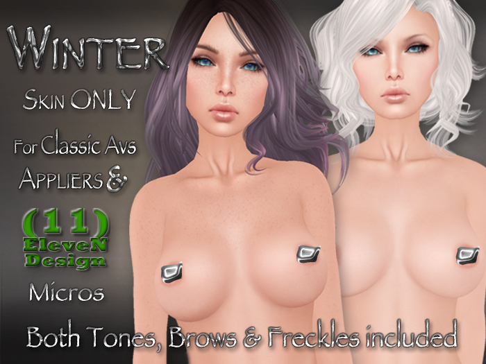 Winter Skin for Classic Avs & Appliers & (11)Design Micros
