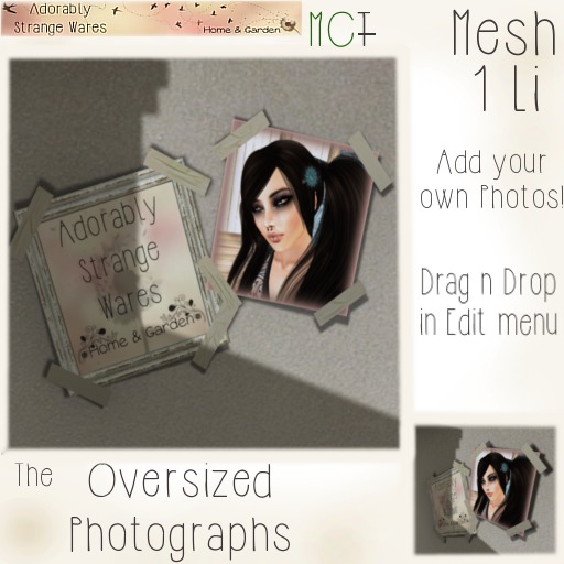 ~ASW~ The Oversized Photographs