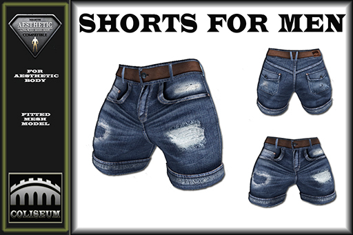 Mesh Aesthetic Shorts - Blue