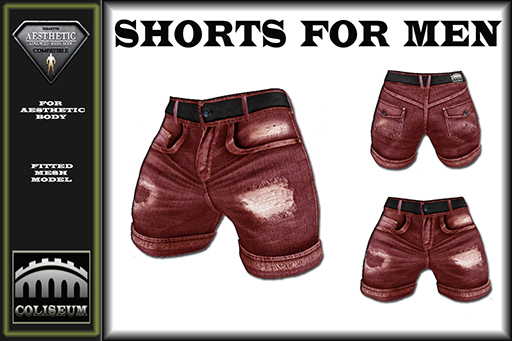Mesh Aesthetic Shorts - red