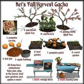 11. Kei's Fall Harvest Gacha (granny smith apple tree)