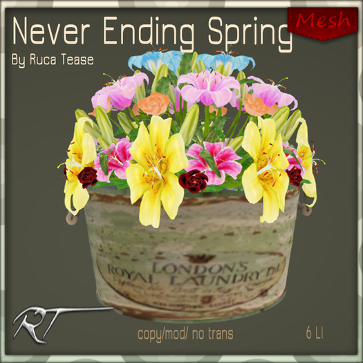Ruca Tease Laundy Bucket open me