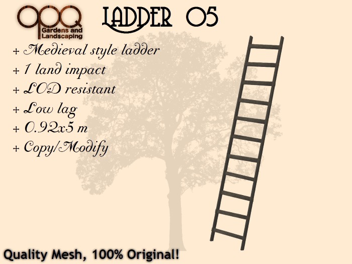 1 LI Medieval style Ladder