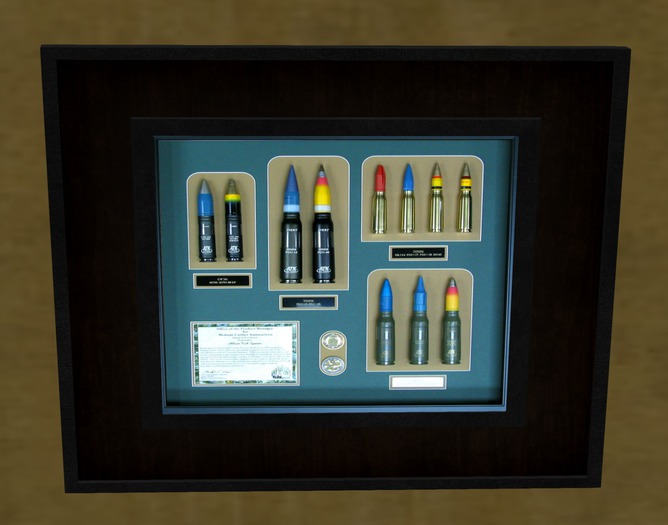 FA -Artillery Shell Shadow Box