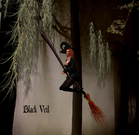 [BV] WALPURGIS Broom Flying Animation # 1