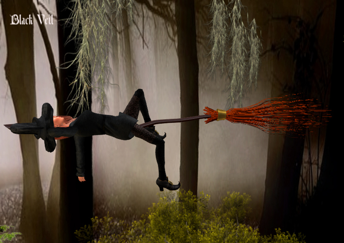 [BV]WALPURGIS  Broom  Flying Animation # 4