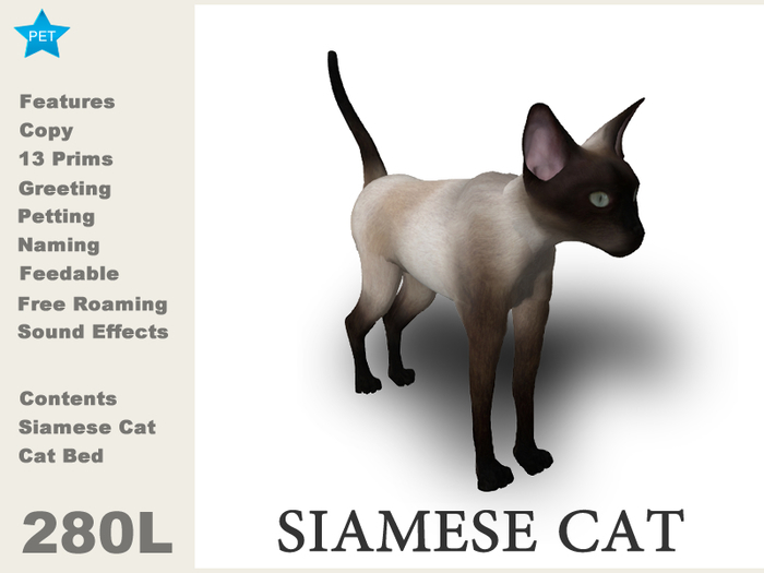 DEMO Siamese Cat