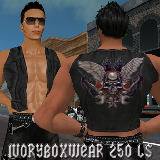 Skull with wings vest