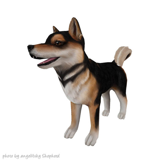 JIAN Hallow-Inu :: Companion Sesame (EP BOX)