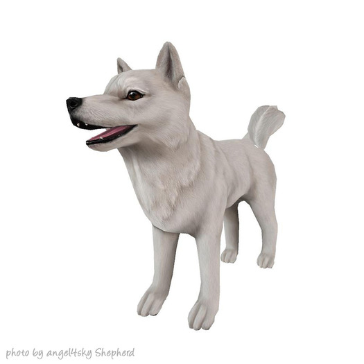 JIAN Hallow-Inu :: Companion White (EP BOX)