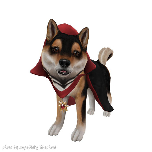 JIAN Hallow-Inu :: Count Shibe (EP BOX) RARE