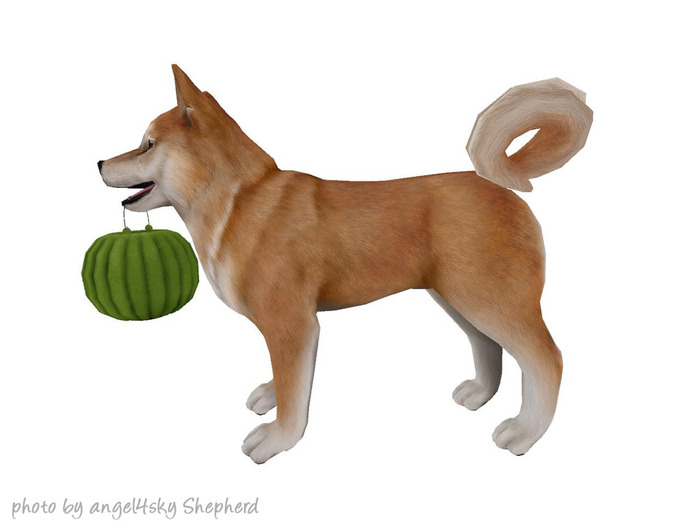 JIAN Hallow-Inu :: ToT Companion Red (EP BOX) [Gacha]