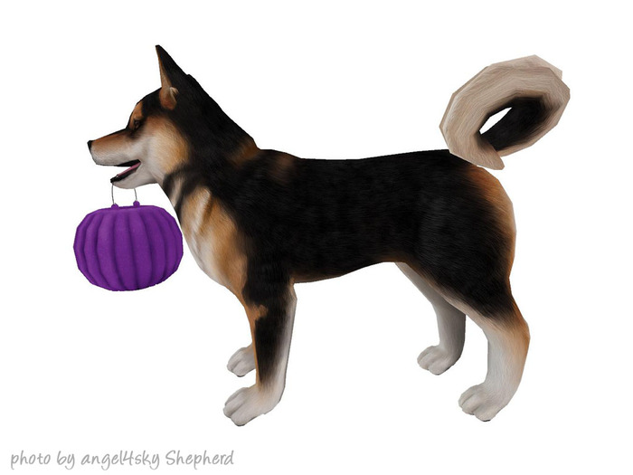 JIAN Hallow-Inu :: ToT Companion Sesame (EP BOX)