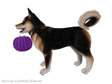 JIAN Hallow-Inu :: ToT Companion Sesame (EP BOX)
