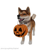 JIAN Hallow-Inu :: ToT Companion Sesame Fade (EP BOX)