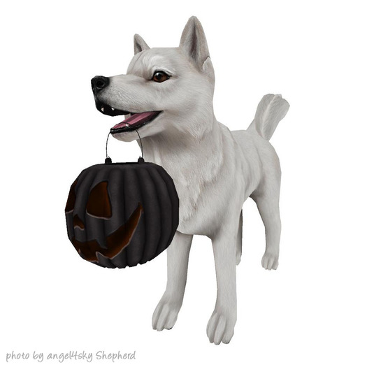 JIAN Hallow-Inu :: ToT Wanderer White (EP BOX) [Gacha]