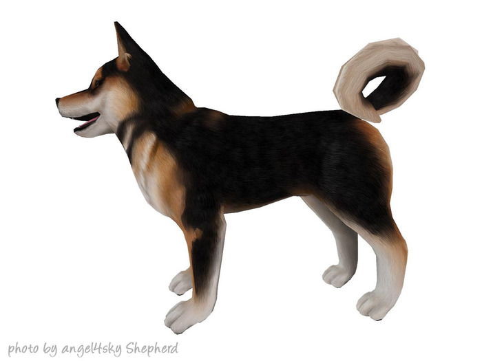 JIAN Hallow-Inu :: Wanderer Sesame (EP BOX)