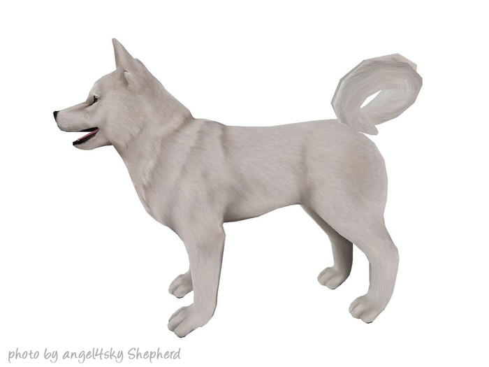 JIAN Hallow-Inu :: Wanderer White (EP BOX)