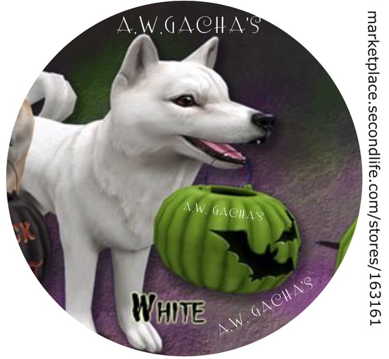 JIAN Hallow-Inu :: ToT Wanderer White (EP BOX)