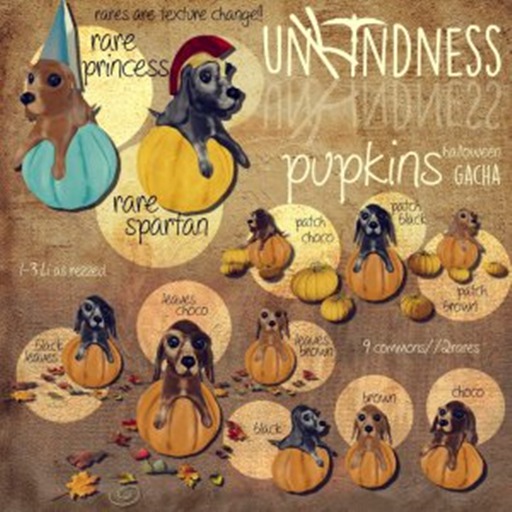 uK - Pupkin Leaves Black 1